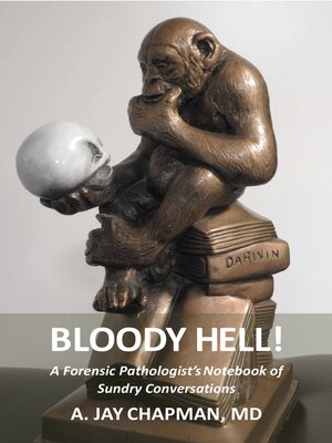 cover image of Bloody Hell!